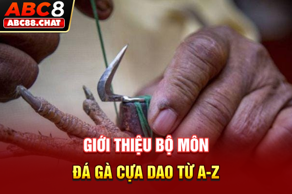Giới thiệu bộ môn đá gà cựa dao từ A-Z