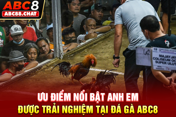 Ưu điểm nổi bật anh em được trải nghiệm tại Đá gà ABC8